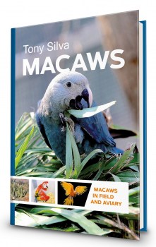 macaws44